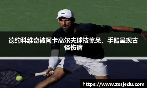 BB贝博官方网站